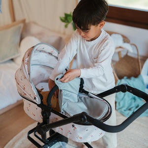 2-in-1 Foldable stroller Eurekakids
