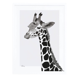 Affiche + Cadre (30X40Cm) - Serengeti : La Girafe Lilipinso