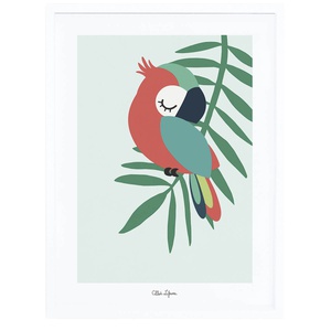 Affiche + Cadre (30X40Cm) - Tropica Perroquet Vert Lilipinso