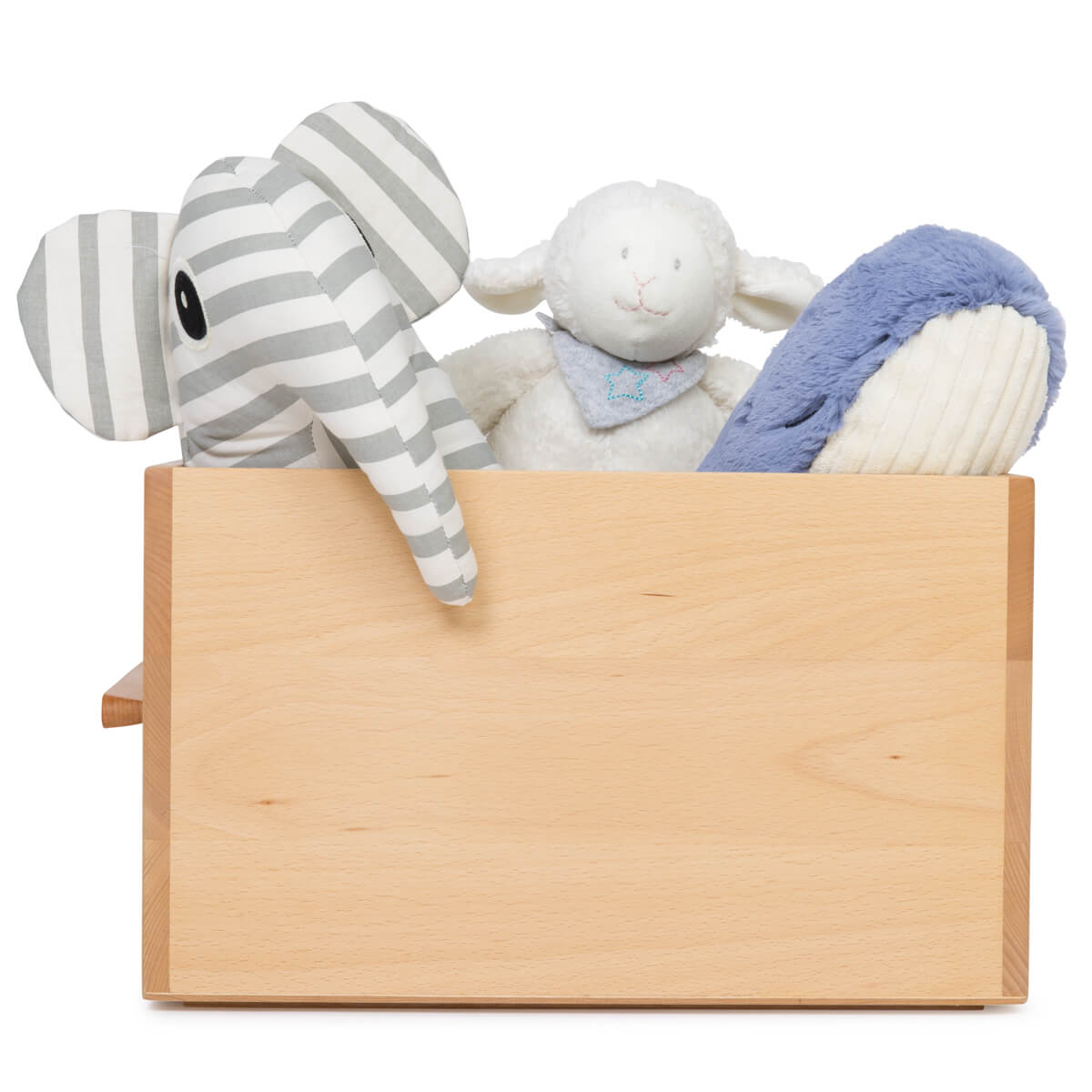 Aufbewahrungsbox NADO Buche