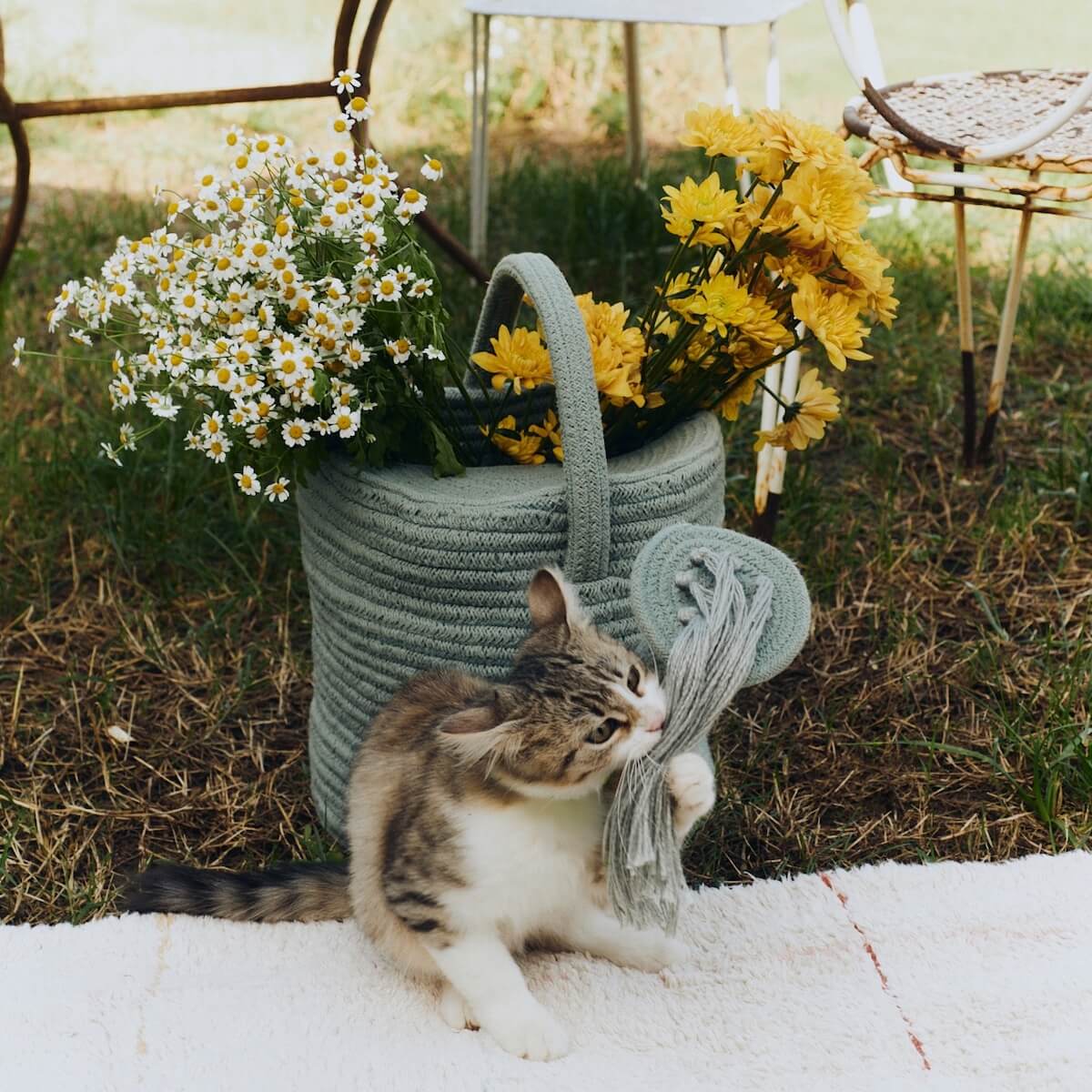 Aufbewahrungskorb Gießkanne 51x26x38cm Lorena Canals