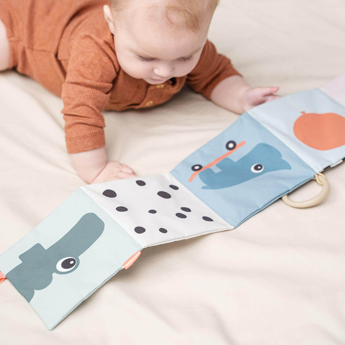 Ausklappbares Softbuch Hirschfreunde Farbmix Done by Deer