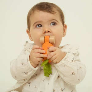 Babyspielzeug CATHY THE CARROT CAR Oli & Carol