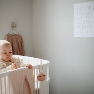 Bibs Silicon Pacifier Case Mushie Blush