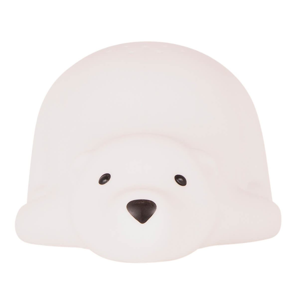 Björn- Projektor- Flow Amsterdam