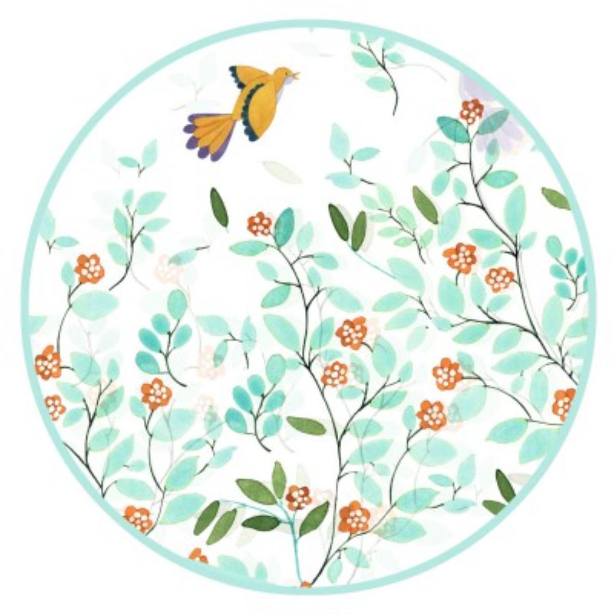 Casquettes Et Capes De Pluie Cape de pluie Feuillage - M Djeco