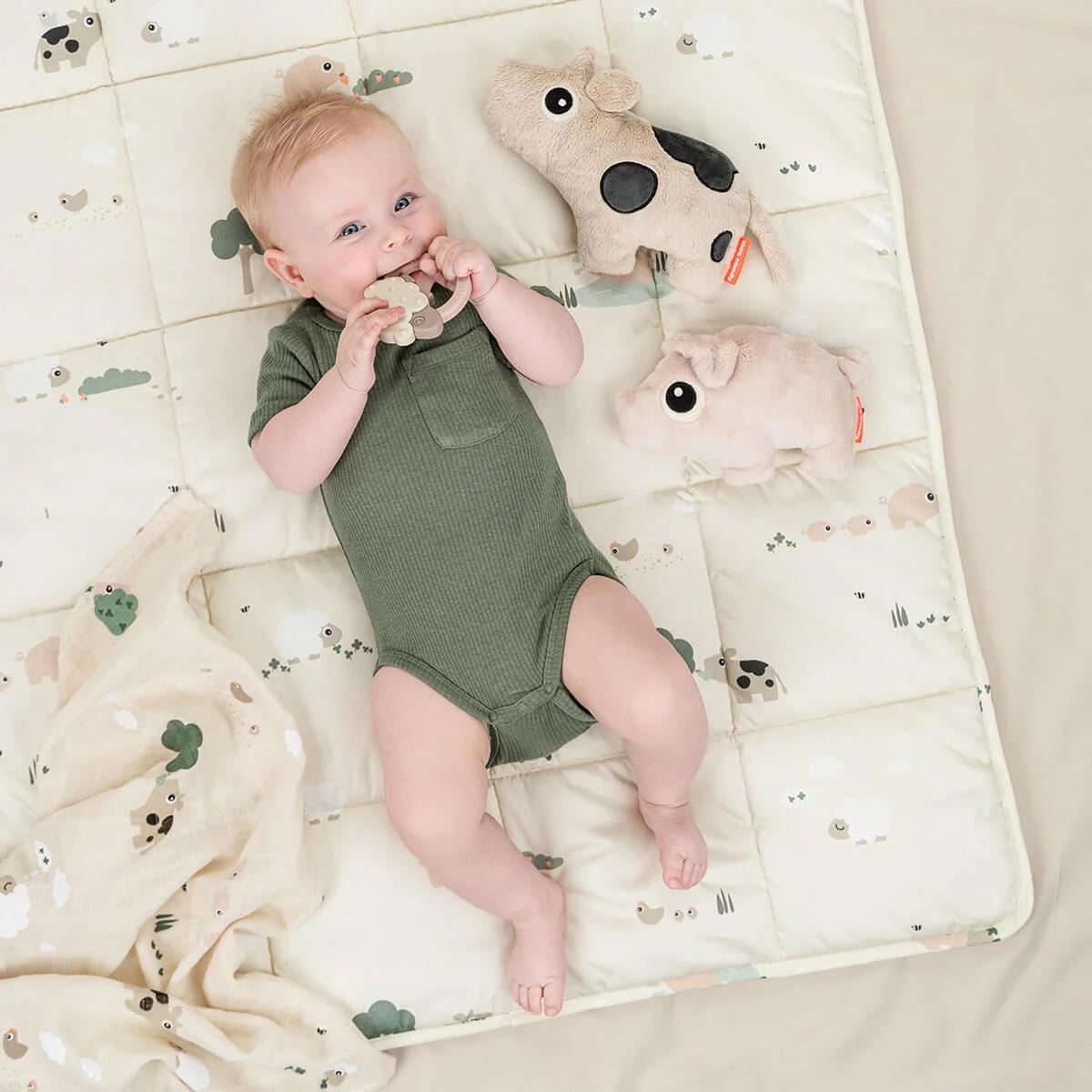 Cuddle cute Pigee Done by deer Powder