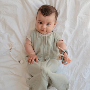 Gebissanbau Mushie dino