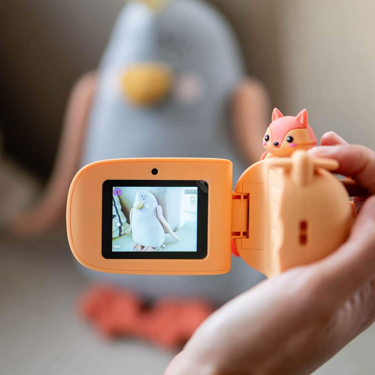 Gerät Foto Zoo Video RENARD Zoofamilie