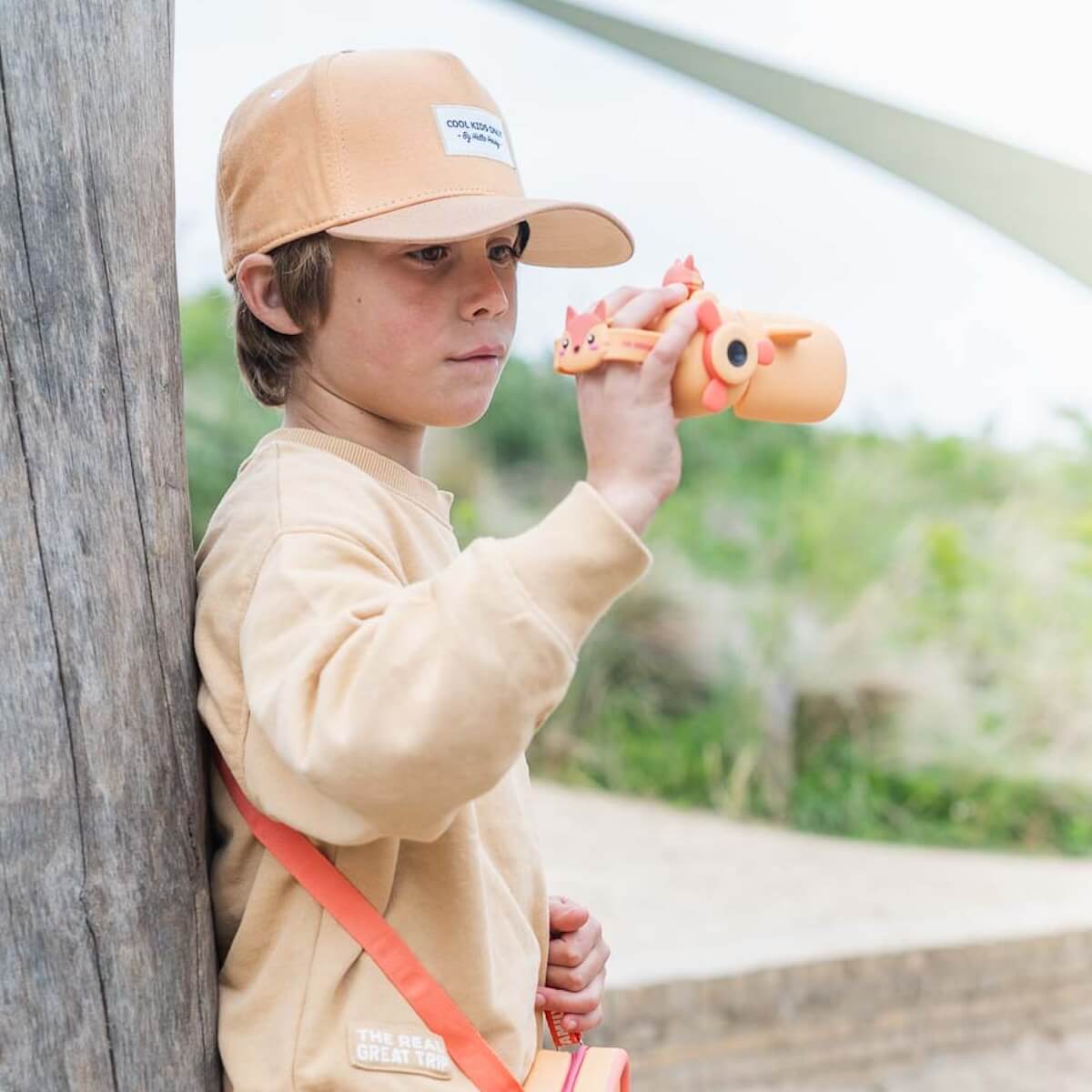 Gerät Foto Zoo Video RENARD Zoofamilie