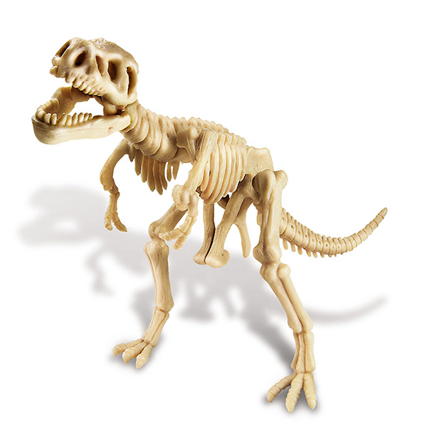 Grabe deinen Dinosaurier Tyrannosaurus Rex DINOSAUR 4M aus
