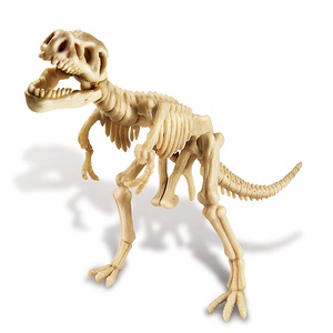 Grabe deinen Dinosaurier Tyrannosaurus Rex DINOSAUR 4M aus