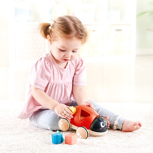 Hape Form-Sortierer Marienkäfer