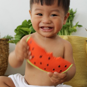 Kauspielzeug WALLY THE WATERMELON Oli and Carol rot