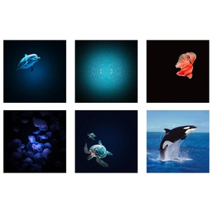 Kidystar HD Planetarium with 6 rotating Discs Kidywolf ocean