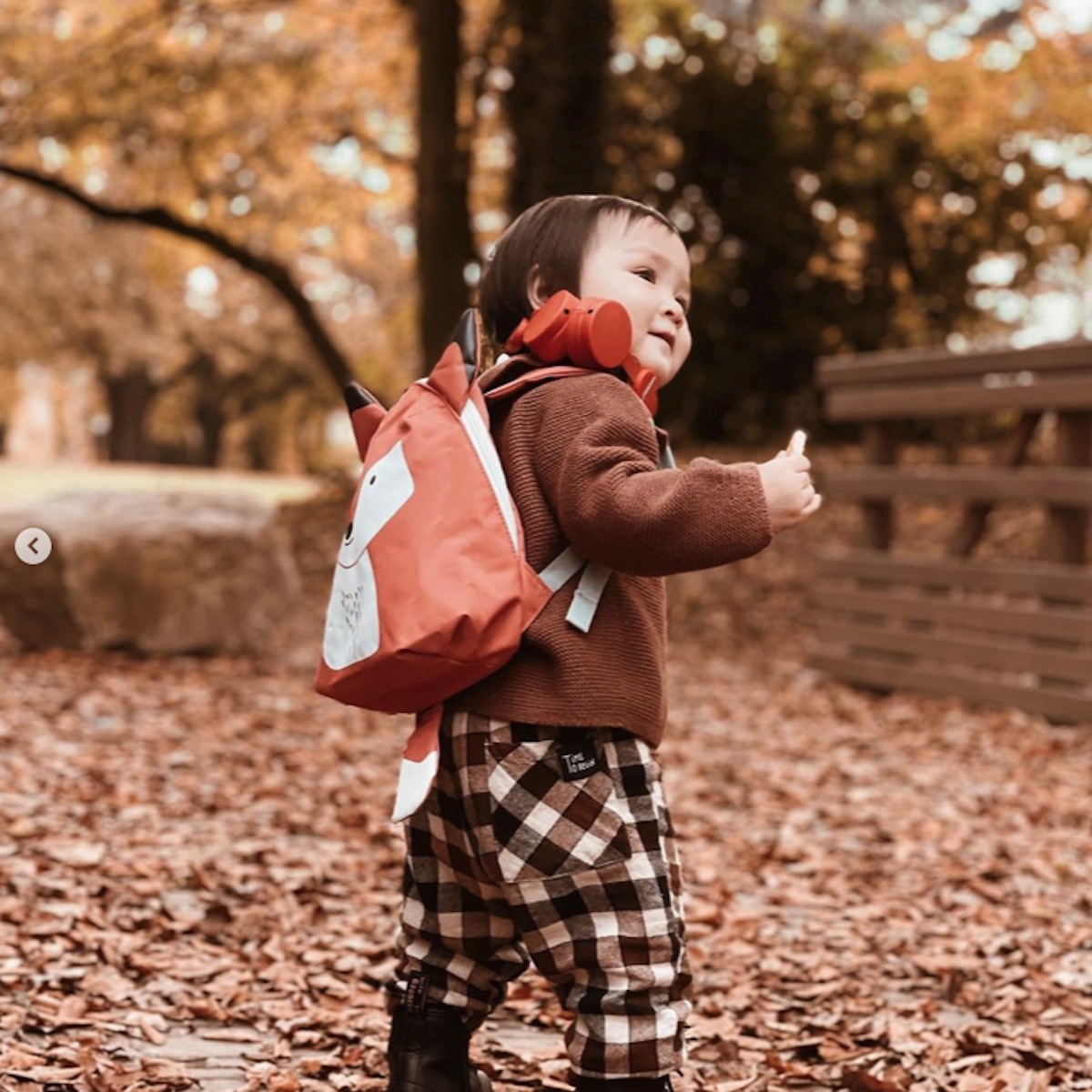 Kidywolf Kidyears Kopfhörer Fox