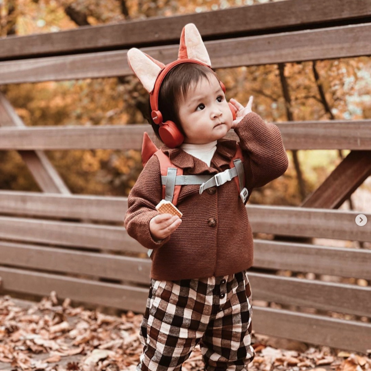 Kidywolf Kidyears Kopfhörer Fox