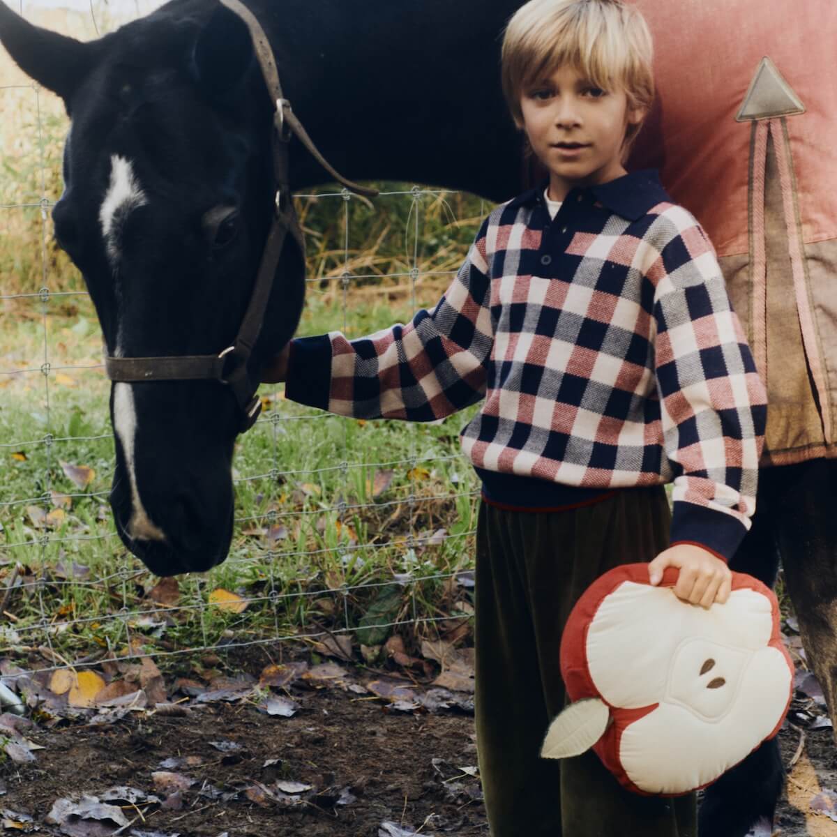 Kissen Apfel 30x30cm Lorena Canals