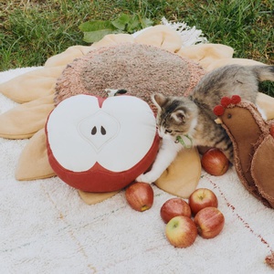 Kissen Apfel 30x30cm Lorena Canals