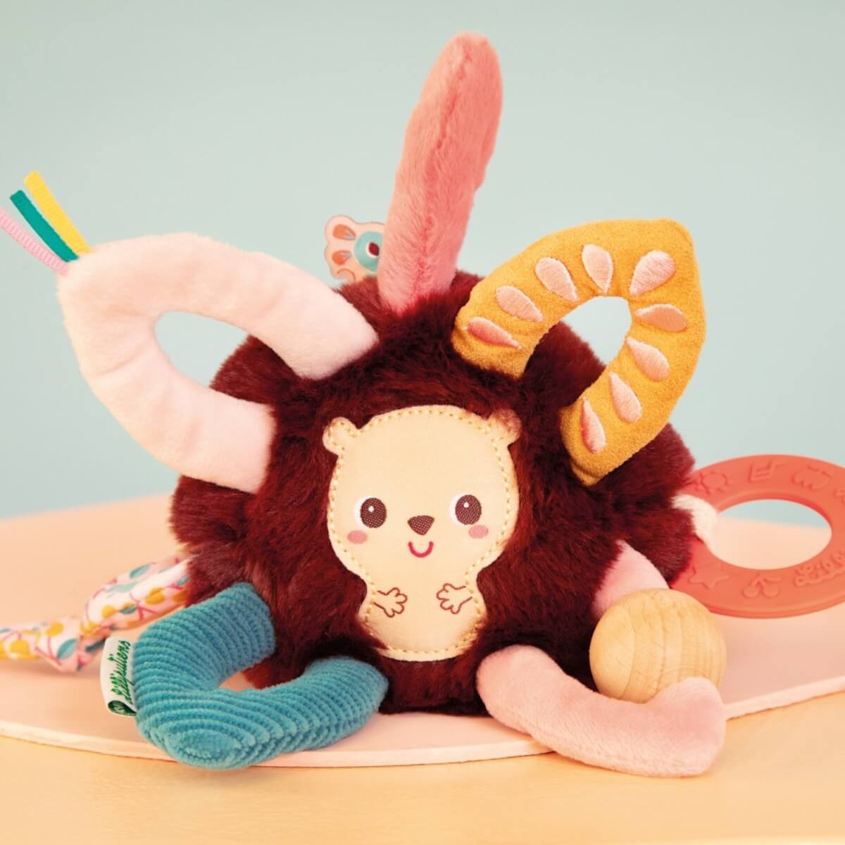 Leon Acti Herisson Lilliputiens