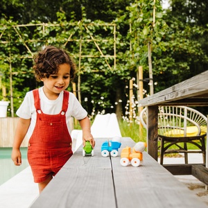 Magnetisches Spiel SMARTMAX My First Vehicles Smartgames