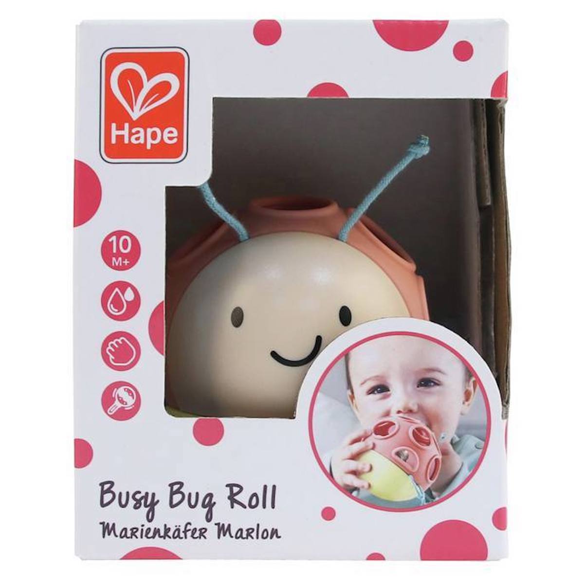 Marienkäfer Marlon Hape