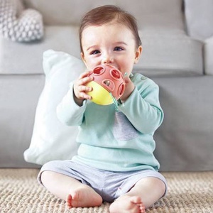 Marienkäfer Marlon Hape