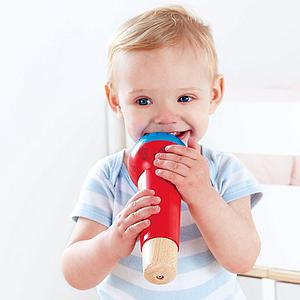 Mikrofon MIGHTY ECHO Hape