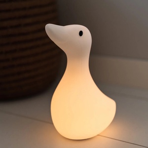 Nachtlicht Liva die Gans- Flow Amsterdam