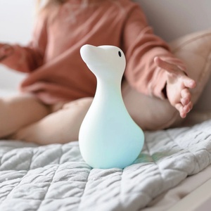 Nachtlicht Liva die Gans- Flow Amsterdam