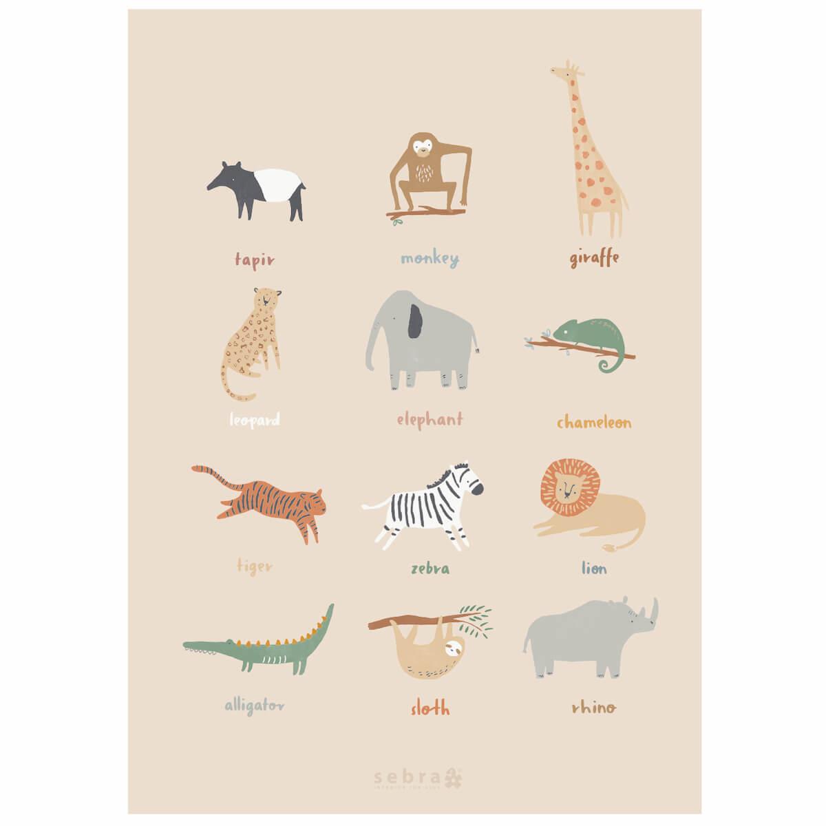 Poster WILDLIFE Sebra