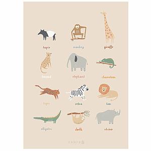Poster WILDLIFE Sebra