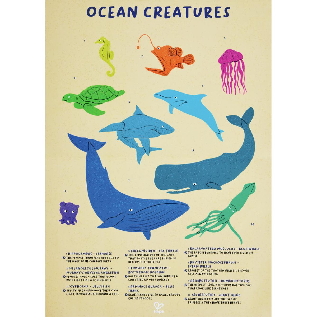 Puzzle de Suelo Brillante Ballena Hape