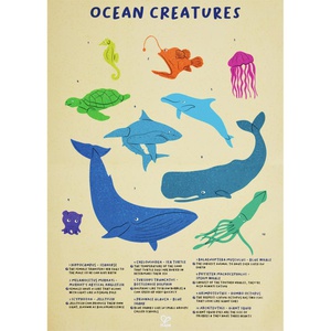 Puzzle de Suelo Brillante Ballena Hape