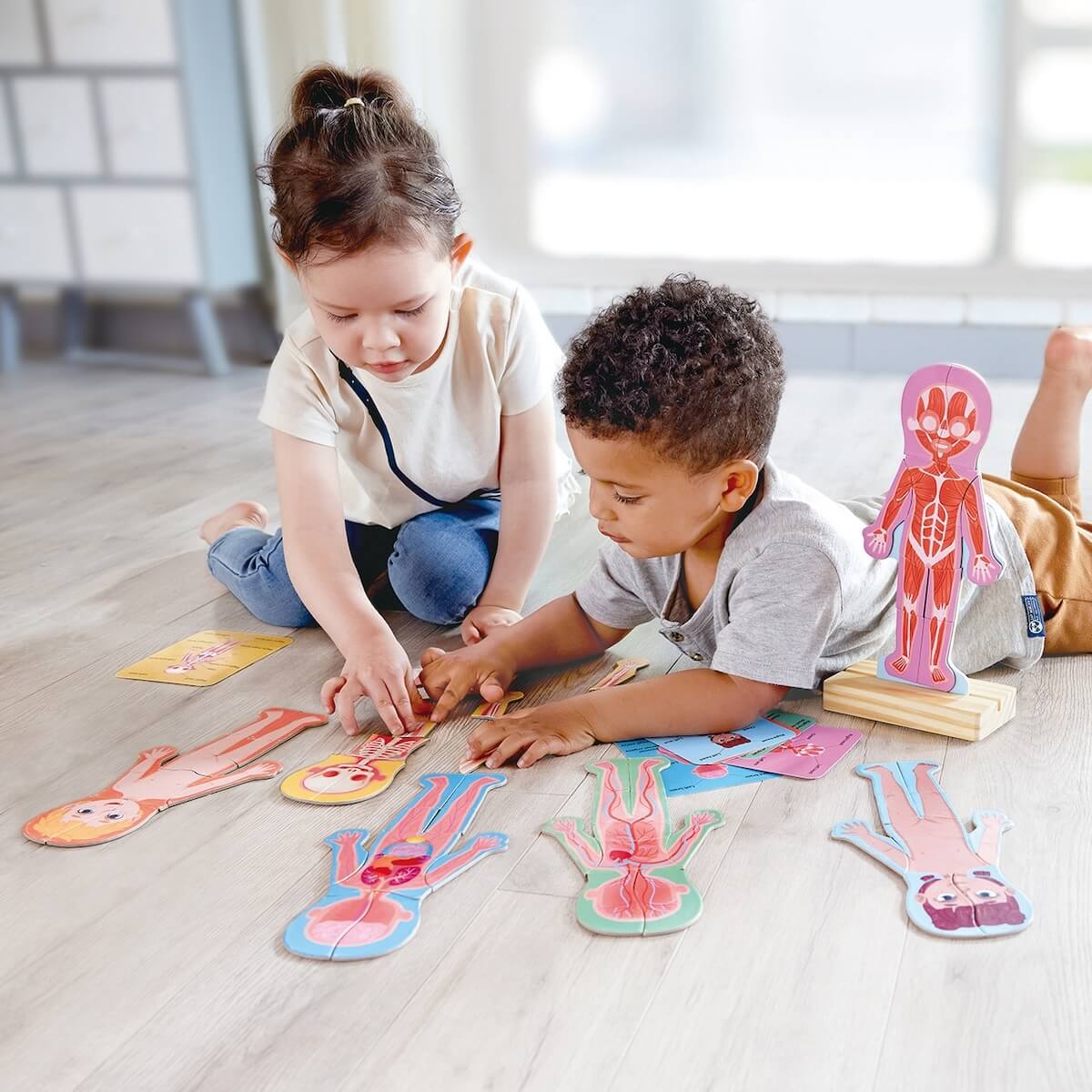 Rompecabezas magnetico del cuerpo humano Hape