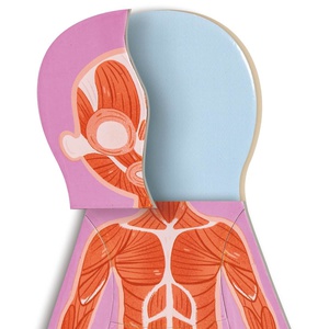 Rompecabezas magnetico del cuerpo humano Hape