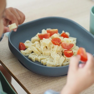 Silikonteller mit Saugnapf Beaba Mineral