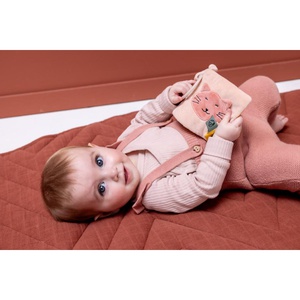 Sinnesbuch für den Kinderwagen Mrs. Cat Trixie