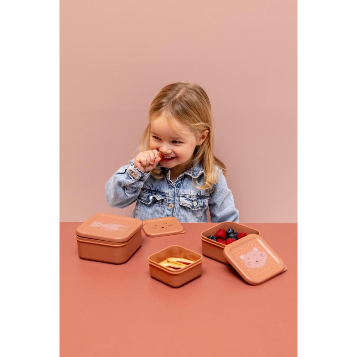 Snackbox 3p MRS. CAT Trixie Rose