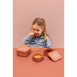 Snackbox 3p MRS. CAT Trixie Rose