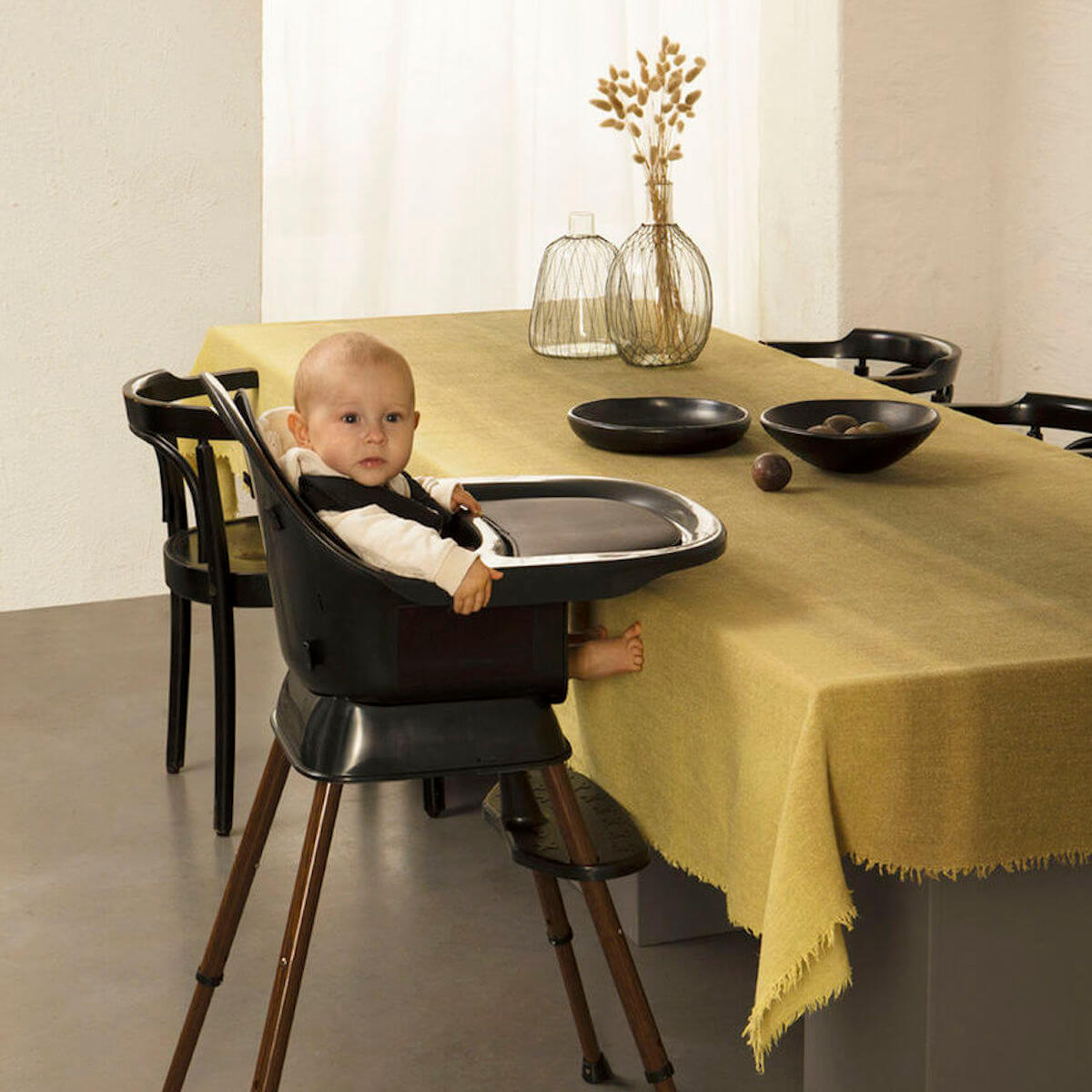 Stuhl Évol Ultimo 3 Luxe Quax schwarzer Nussbaum