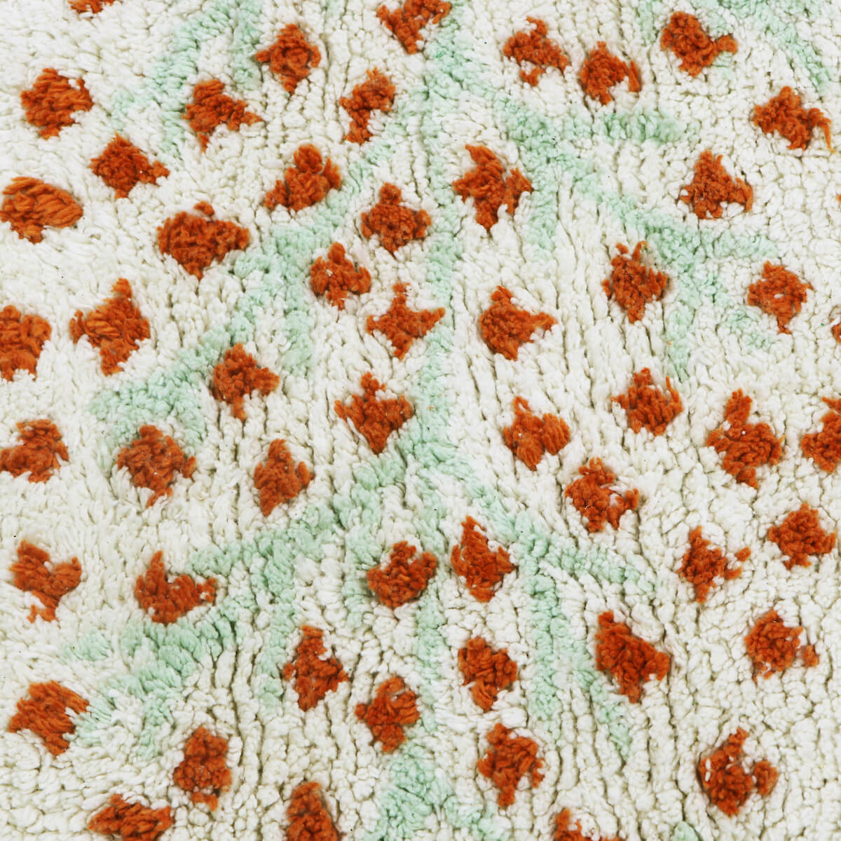 Teppich waschbar 170x240cm Botanic Plants Lorena Canals