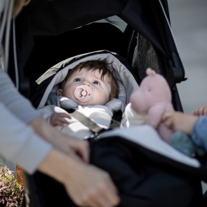 Thule Newborn Nest Schwarz