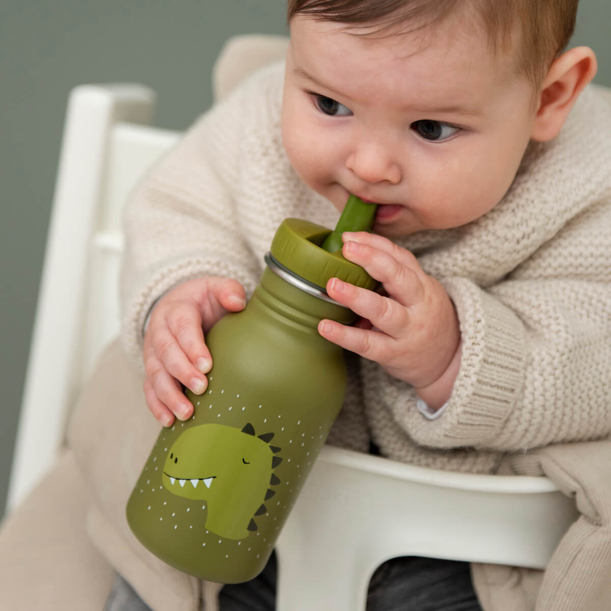 Trinkflasche 350ml Mr. Dino Trixie