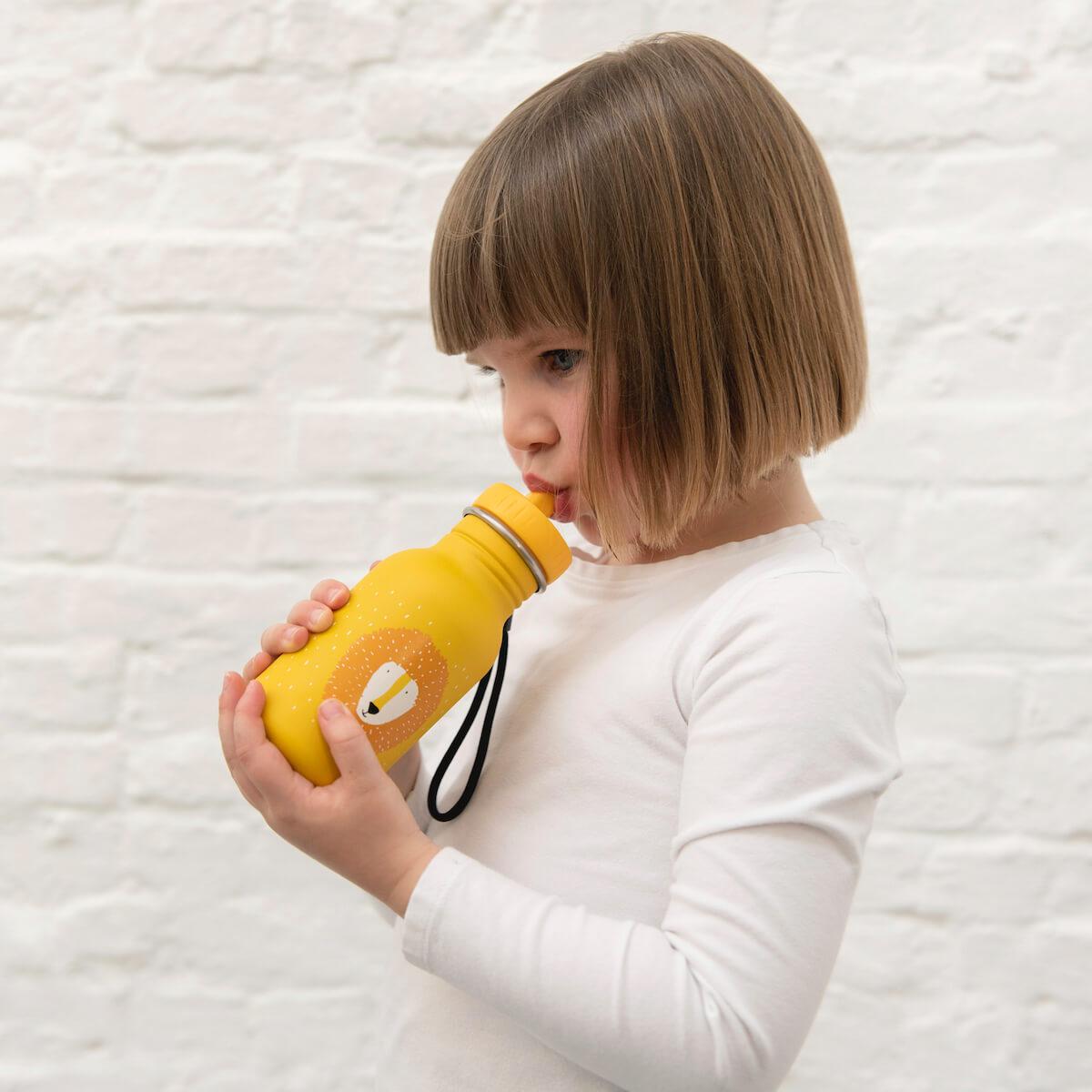 Trinkflasche 350ml Mr. Lion Trixie