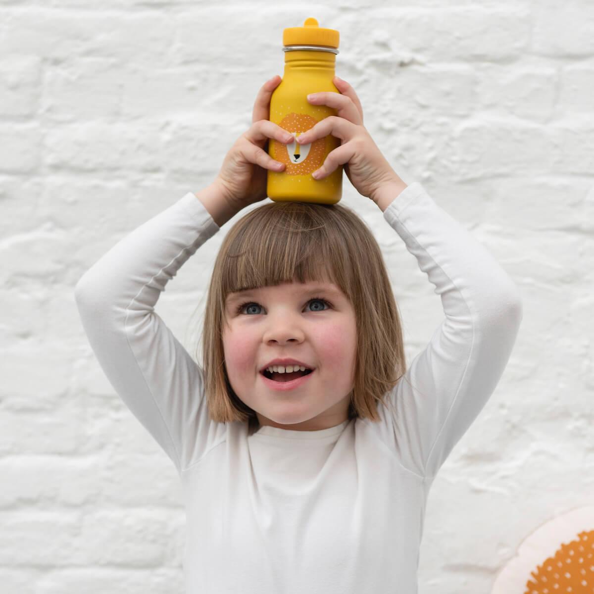 Trinkflasche 350ml Mr. Lion Trixie
