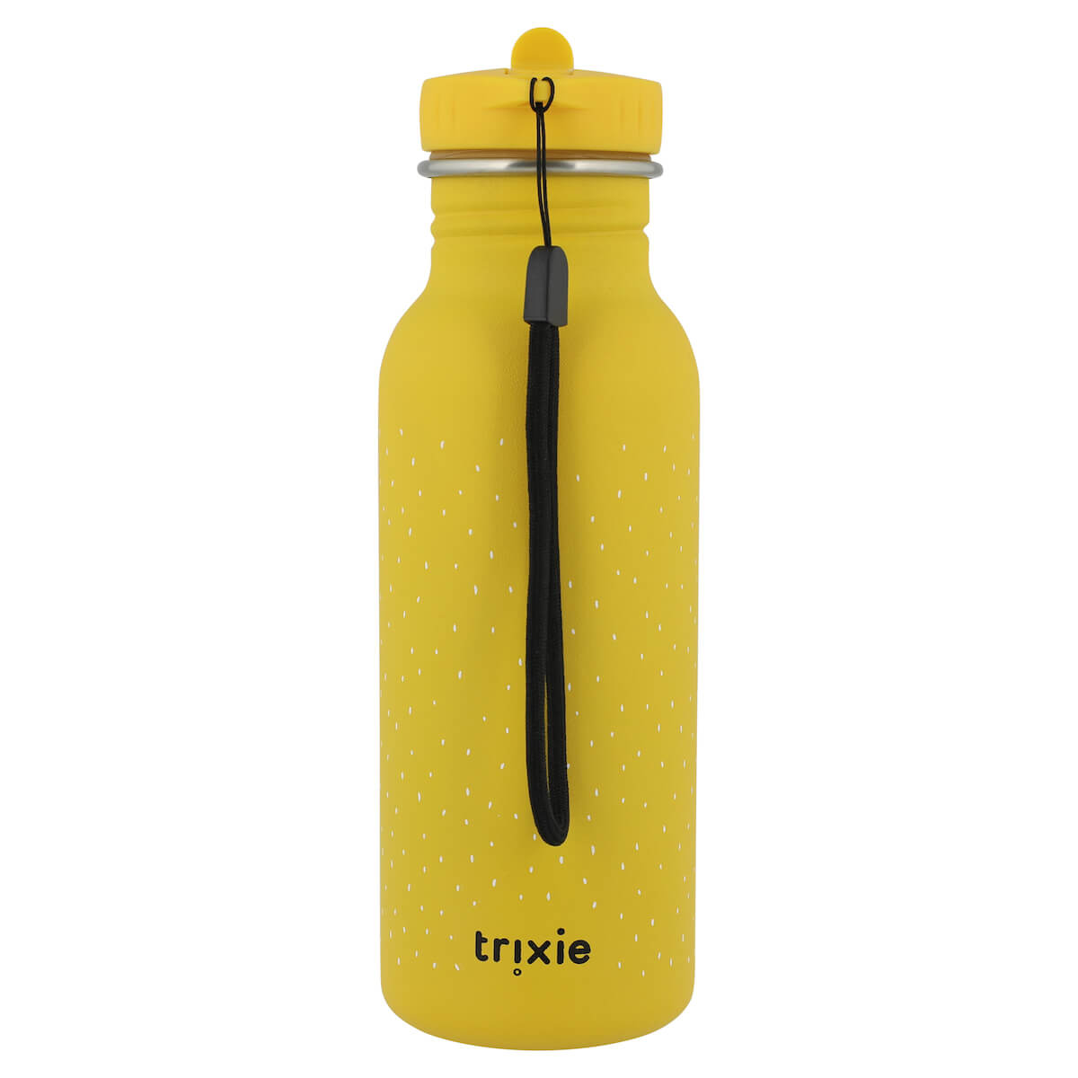 Trinkflasche 500ml Mr. Lion Trixie