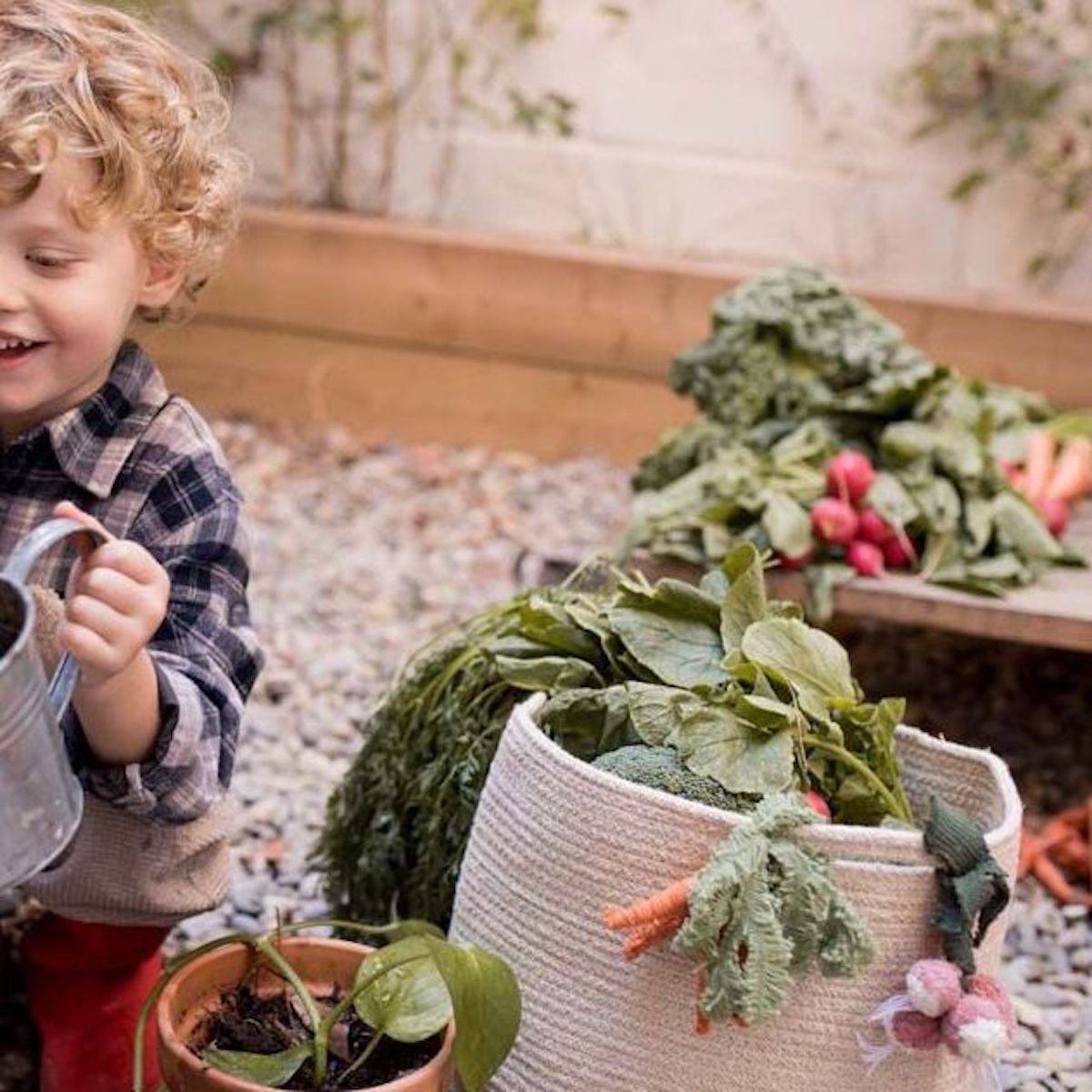 Veggies Basketball Lorena Canals