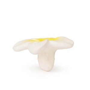 Zahnungshilfe HAWAII THE FLOWER Oli & Carol