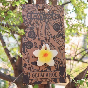 Zahnungshilfe HAWAII THE FLOWER Oli & Carol